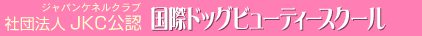 �Вc�@�lJKC�i�W���p���P�l���N���u�j���F�@���ۃh�b�O�r���[�e�B�[�X�N�[��