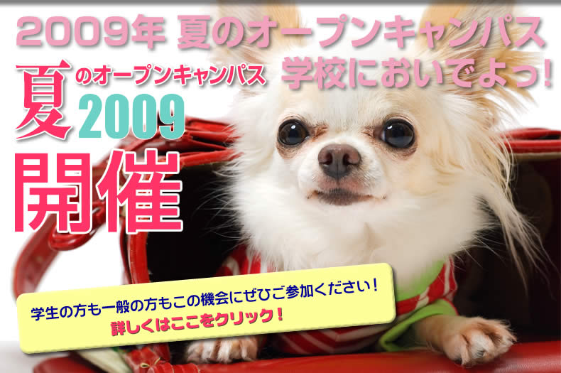 �ẴI�[�v���L�����p�X�J�ÁI